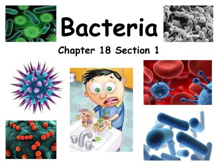 Bacteria Chapter 18 Section 1.