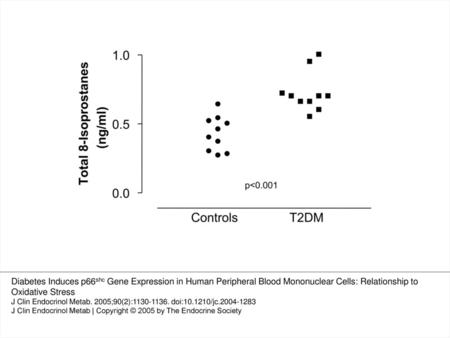 Fig. 4. Single total plasma 8-isoprostane levels in both controls and type 2 diabetic patients. Diabetes Induces p66shc Gene Expression in Human Peripheral.