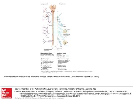Schematic representation of the autonomic nervous system