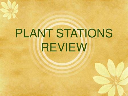 PLANT STATIONS REVIEW.