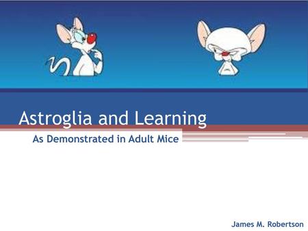 Astroglia and Learning