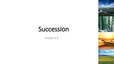 Succession Chapter 4.3.