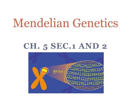 Mendelian Genetics Ch. 5 Sec.1 and 2.