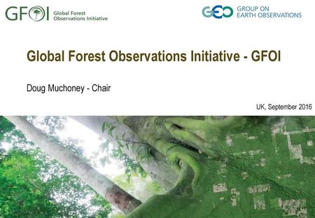 Global Forest Observations Initiative - GFOI