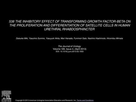 538 THE INHIBITORY EFFECT OF TRANSFORMING GROWTH FACTOR-BETA ON THE PROLIFERATION AND DIFFERENTIATION OF SATELLITE CELLS IN HUMAN URETHRAL RHABDOSPHINCTER 
