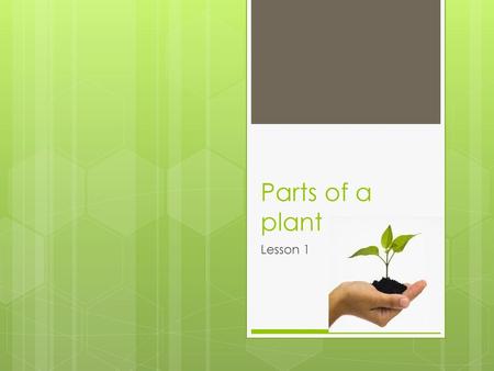 Parts of a plant Lesson 1.