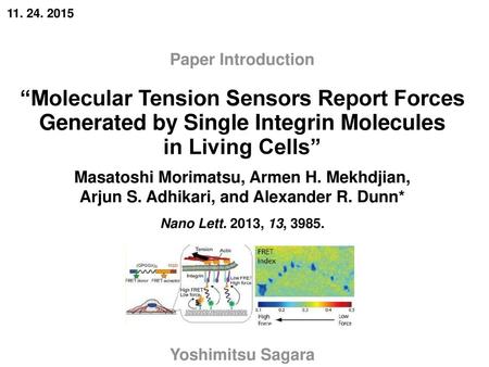 “Molecular Tension Sensors Report Forces