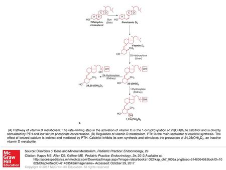 (A) Pathway of vitamin D metabolism