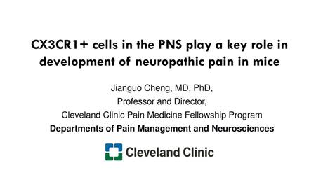 CX3CR1+ cells in the PNS play a key role in development of neuropathic pain in mice Jianguo Cheng, MD, PhD, Professor and Director, Cleveland Clinic Pain.