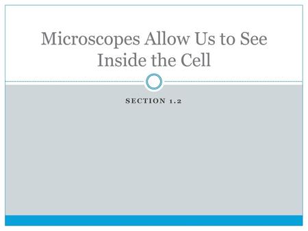 Microscopes Allow Us to See Inside the Cell
