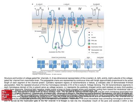 Structure and function of voltage-gated Na+ channels. A