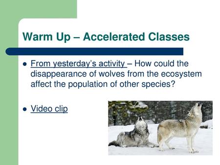 Warm Up – Accelerated Classes