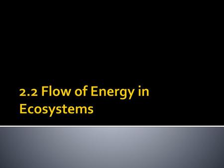 2.2 Flow of Energy in Ecosystems