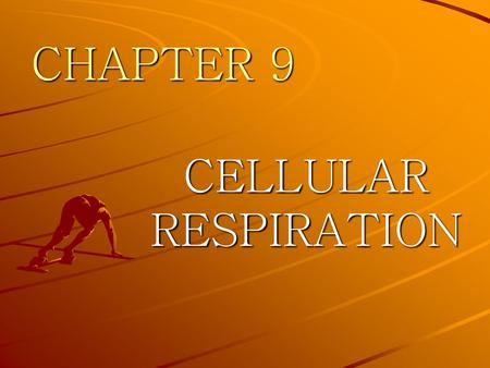 CHAPTER 9 CELLULAR RESPIRATION.