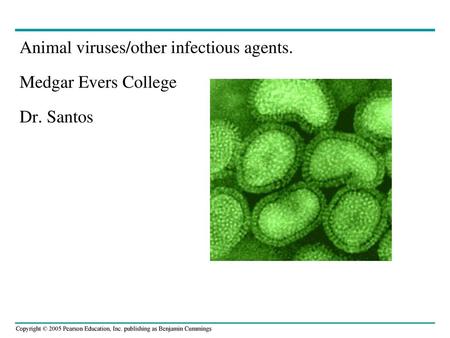 Animal viruses/other infectious agents.