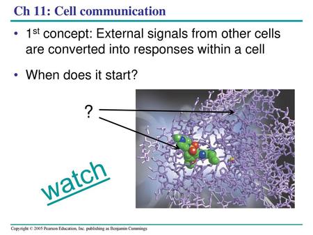 Ch 11: Cell communication