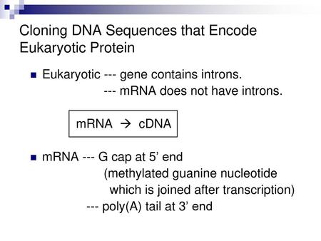 Cloning DNA Sequences that Encode Eukaryotic Protein