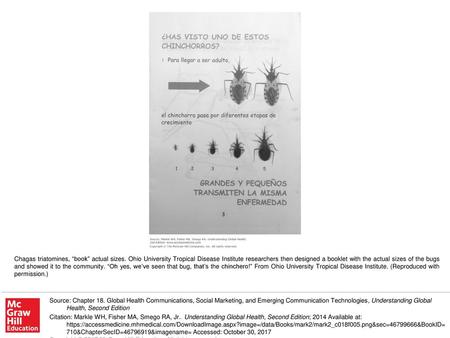 Chagas triatomines, “book” actual sizes