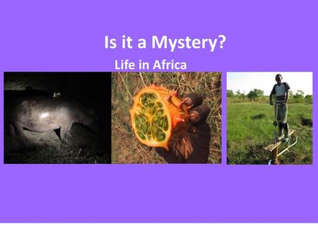 Is it a Mystery? Life in Africa