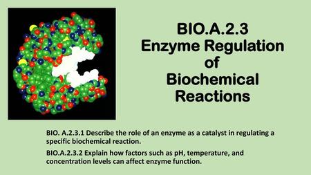 BIO.A.2.3 Enzyme Regulation of Biochemical Reactions