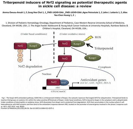 Triterpenoid inducers of Nrf2 signaling as potential therapeutic agents in sickle cell disease: a review Amma Owusu-Ansah 1, 2 ;Sung Hee Choi 1, 1_FMD-14249-OAA.