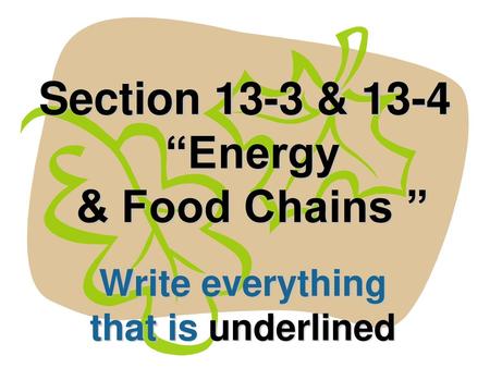 Section 13-3 & 13-4 “Energy & Food Chains ”