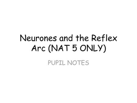 Neurones and the Reflex Arc (NAT 5 ONLY)