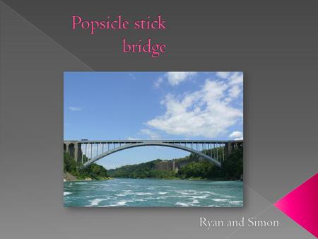 Popsicle stick bridge Ryan and Simon.