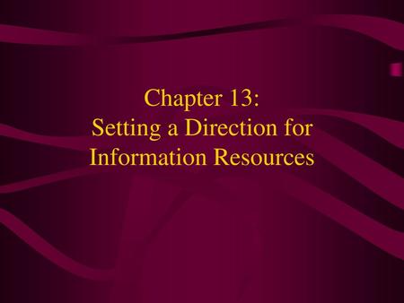 Chapter 13: Setting a Direction for Information Resources