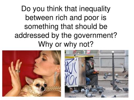 Do you think that inequality between rich and poor is something that should be addressed by the government? Why or why not?