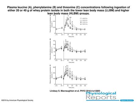 Plasma leucine (A), phenylalanine (B) and threonine (C) concentrations following ingestion of either 20 or 40 g of whey protein isolate in both the lower.