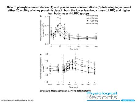 Rate of phenylalanine oxidation (A) and plasma urea concentrations (B) following ingestion of either 20 or 40 g of whey protein isolate in both the lower.