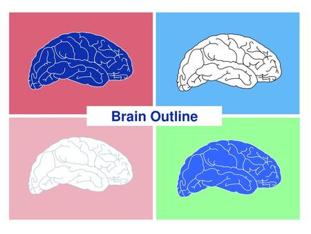 Brain Outline 1.