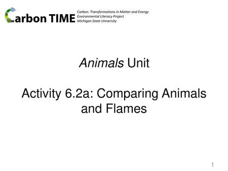 Animals Unit Activity 6.2a: Comparing Animals and Flames