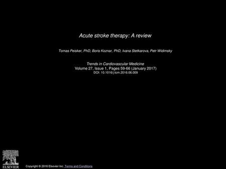 Acute stroke therapy: A review