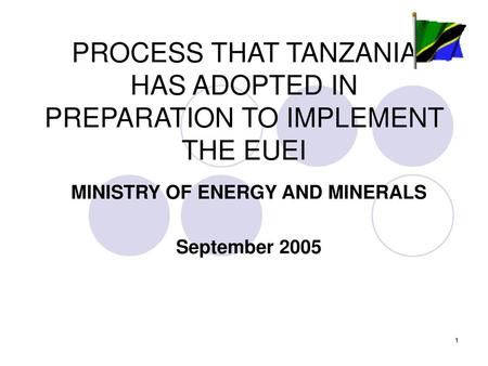 PROCESS THAT TANZANIA HAS ADOPTED IN PREPARATION TO IMPLEMENT THE EUEI