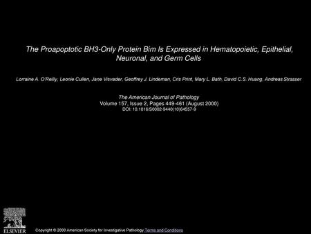 The Proapoptotic BH3-Only Protein Bim Is Expressed in Hematopoietic, Epithelial, Neuronal, and Germ Cells  Lorraine A. O’Reilly, Leonie Cullen, Jane Visvader,
