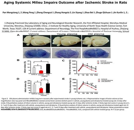 Aging Systemic Milieu Impairs Outcome after Ischemic Stroke in Rats