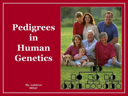 Pedigrees in Human Genetics