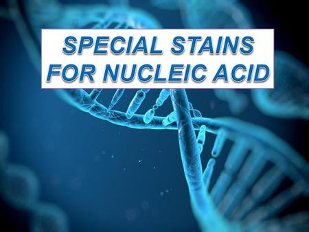 SPECIAL STAINS FOR NUCLEIC ACID.