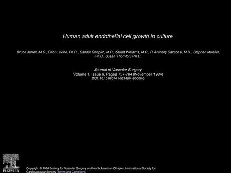 Human adult endothelial cell growth in culture