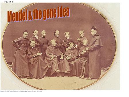 Mendel & the gene idea Fig. 14-1