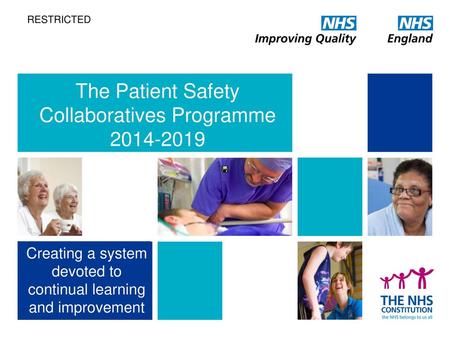 The Patient Safety Collaboratives Programme