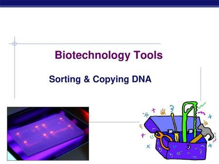 Biotechnology Tools Sorting & Copying DNA 2007-2008.