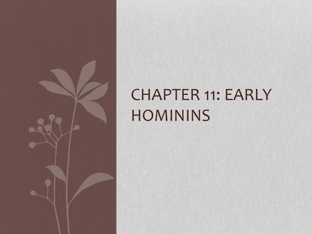 Chapter 11: Early Hominins