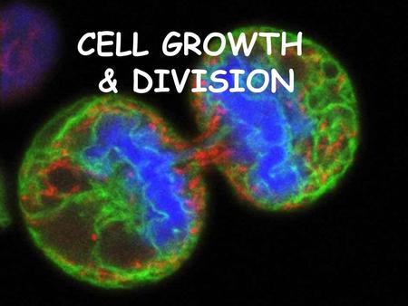 CELL GROWTH & DIVISION.