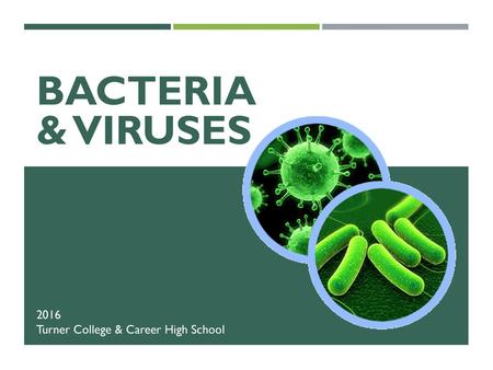 Bacteria & Viruses 2016 Turner College & Career High School.
