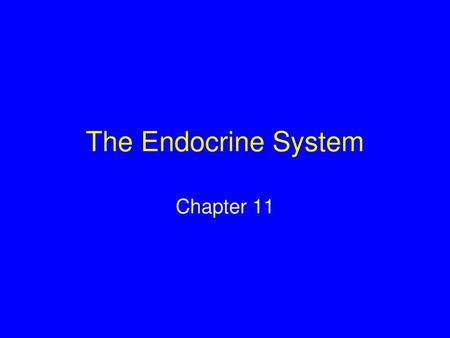 The Endocrine System Chapter 11.