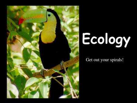 Ecology Get out your spirals!.