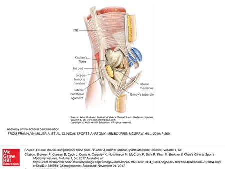 FROM FRANKLYN-MILLER A. ET AL. CLINICAL SPORTS ANATOMY